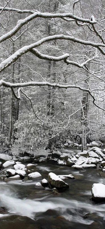 PeelitStickit, Beautiful Nature Wall Murals, ID-3306, vinyl