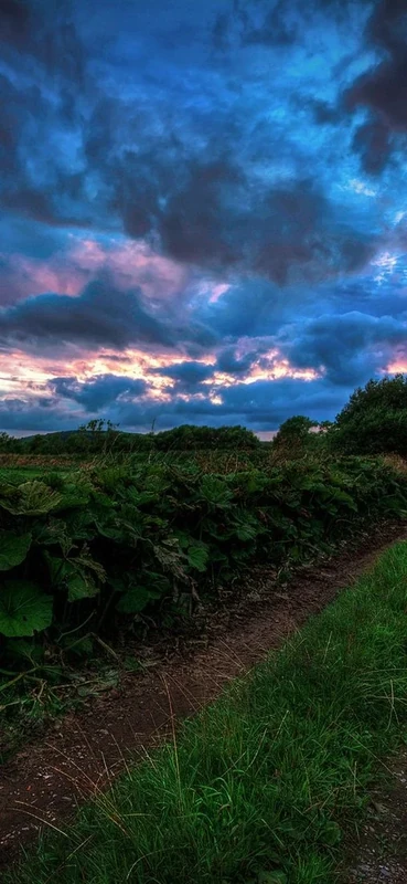 PeelitStickit, Beautiful Nature Wall Murals, ID-3312, vinyl