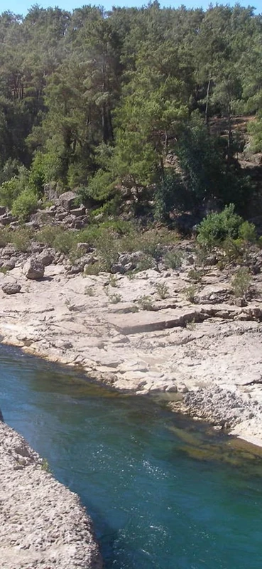 PeelitStickit, Beautiful Nature Wall Murals, ID-3317, vinyl