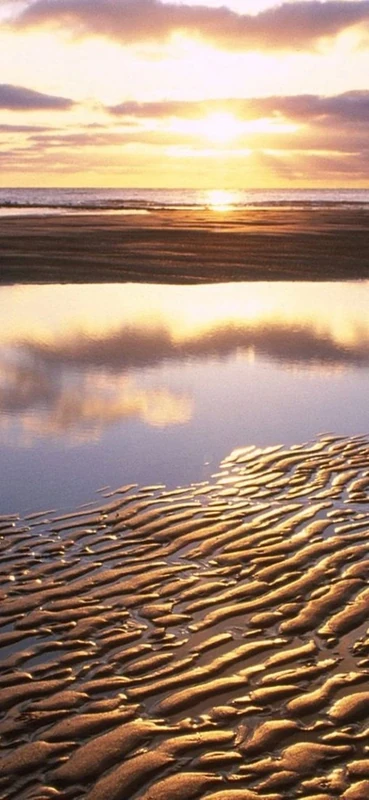 PeelitStickit, Beautiful Nature Wall Murals, ID-3355, vinyl