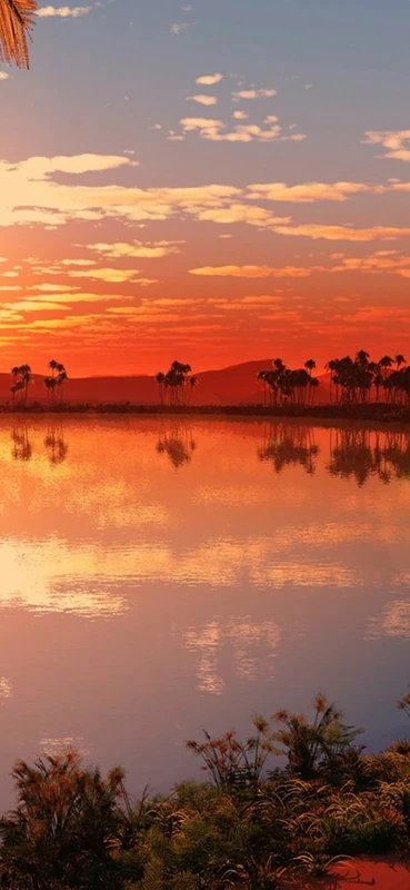 PeelitStickit, Beautiful Nature Wall Murals, ID-3356, vinyl