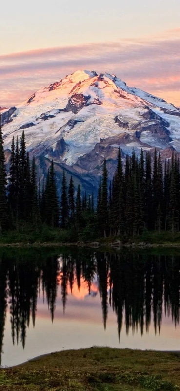 PeelitStickit, Beautiful Nature Wall Murals, ID-3358, vinyl