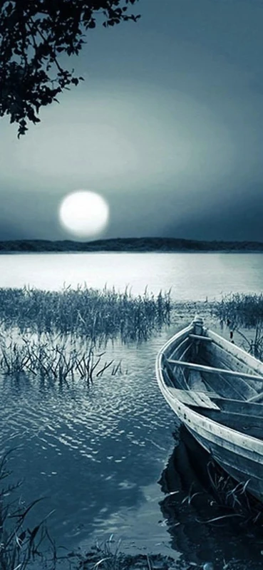 PeelitStickit, Beautiful Nature Wall Murals, ID-3364, vinyl