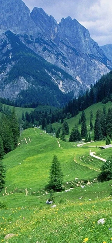 PeelitStickit, Beautiful Nature Wall Murals, ID-3371, vinyl