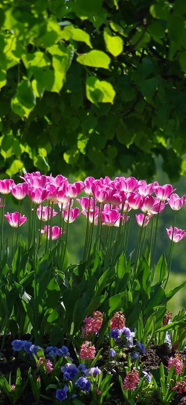 PeelitStickit, Beautiful Nature Wall Murals, ID-3381, vinyl