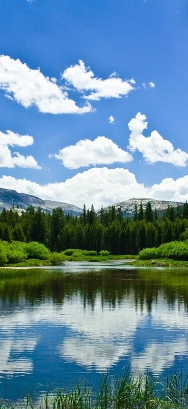 PeelitStickit, Beautiful Nature Wall Murals, ID-3375, vinyl