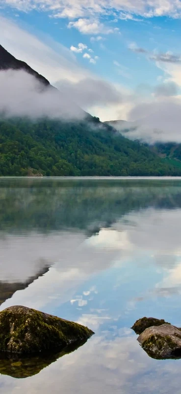 PeelitStickit, Beautiful Nature Wall Murals, ID-3383, vinyl