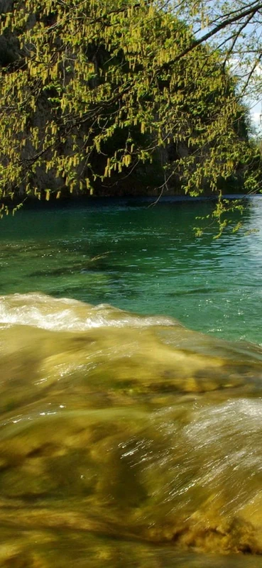 PeelitStickit, Beautiful Nature Wall Murals, ID-3385, vinyl