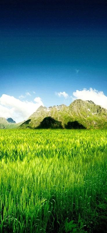 PeelitStickit, Beautiful Nature Wall Murals, ID-3389, vinyl