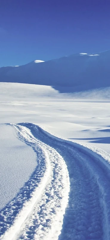 PeelitStickit Mural, Beautiful Nature Wall MuralsID-4225, vinyl