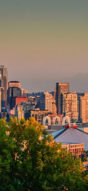 PeelitStickit City, Cityscapes Wall Murals, ID-129, vinyl