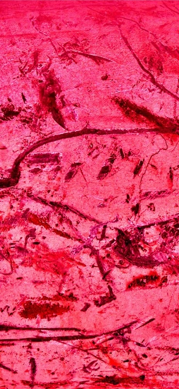 PeelitStickit ID-040 60 Width x 130 cm Height Coloured Grunge Textures Vinyl Wall Mural Wallpaper