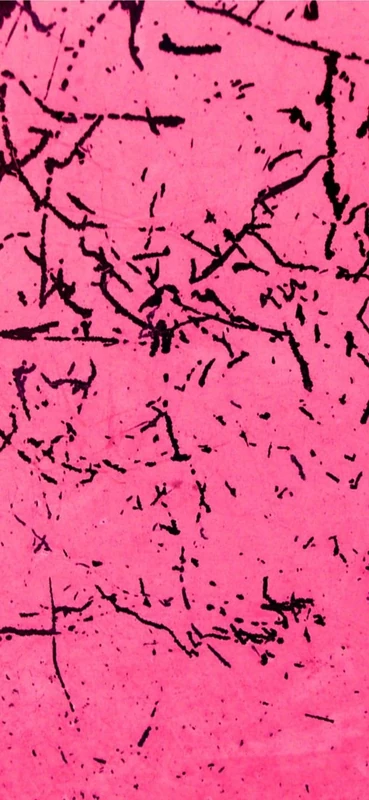 PeelitStickit Coloured Grunge Textures Pattern, Wallpaper Design, Wall Mural ID-045, vinyl