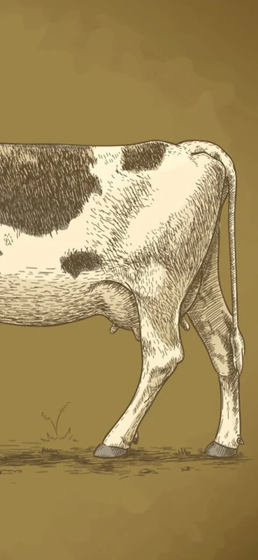 PeelitStickit Cow Animal Skin Wall Mural 026, vinyl