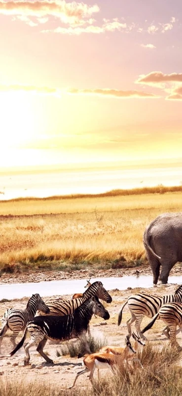 PeelitStickit Dessert Walking Scenary, Animal Wall Murals ID-232, vinyl