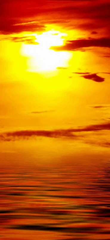 PeelitStickit Dolphin Underwater, Undersea Wall Murals ID-021, vinyl