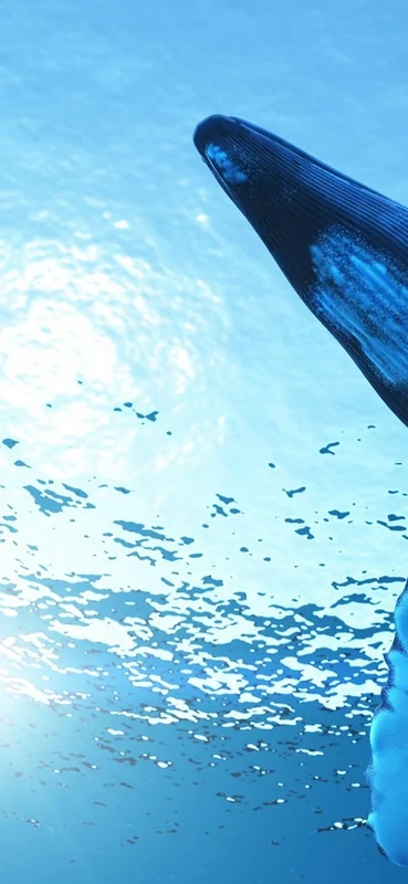 PeelitStickit Dolphin Underwater, Undersea Wall Murals ID-024, vinyl