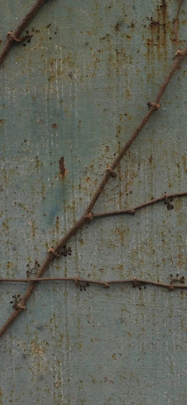 PeelitStickit Extreme Rusted Metal Pattern, Wallpaper Design, Wall Mural ID-012, vinyl