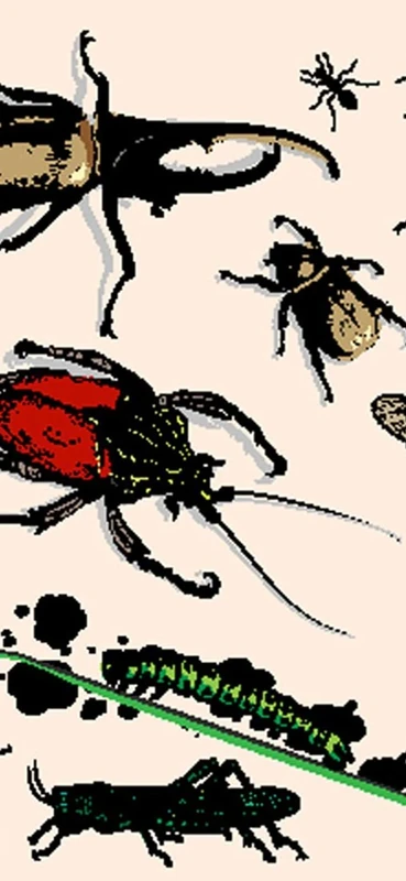 PeelitStickit Fantasy Wallpaper, Wall Mural ID-027, vinyl