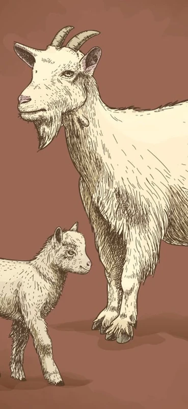 PeelitStickit Goat Animal Skin Wall Mural 025, vinyl