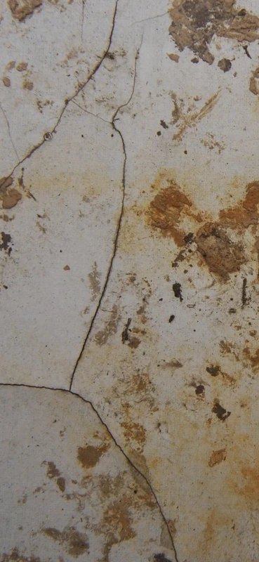 PeelitStickit Grunge Crack Pattern Roll, World Wallpaper, Wall Mural ID-009, vinyl