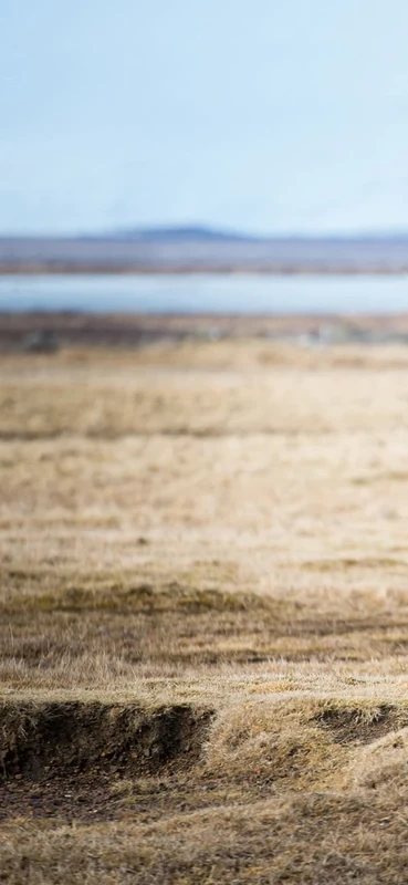 PeelitStickit Horse, Wall Murals, ID-038, vinyl