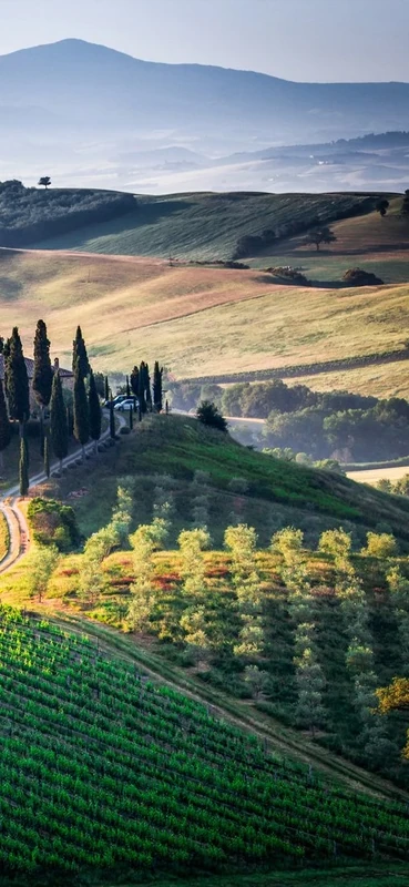 PeelitStickit Italy Buildings and Cities Wallpaper Design, Wall Mural ID-006, vinyl