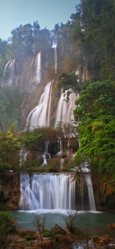 PeelitStickit Jungle Forest Wallpaper Design, Wall Mural ID-005, vinyl