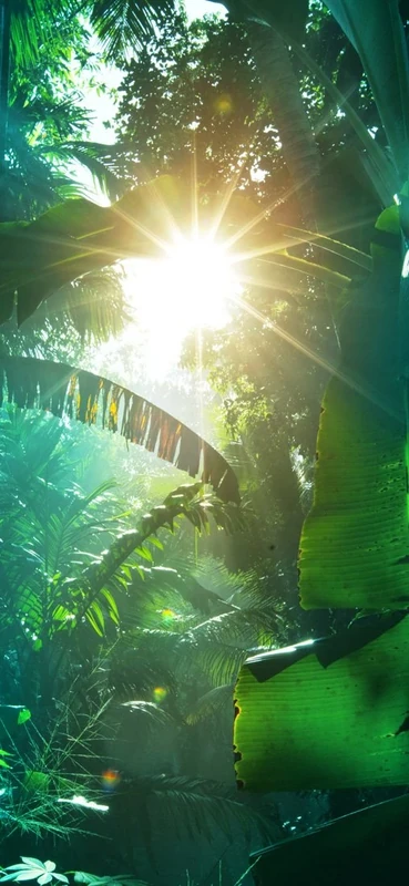 PeelitStickit Jungle Forest Wallpaper Design, Wall Mural ID-018, vinyl