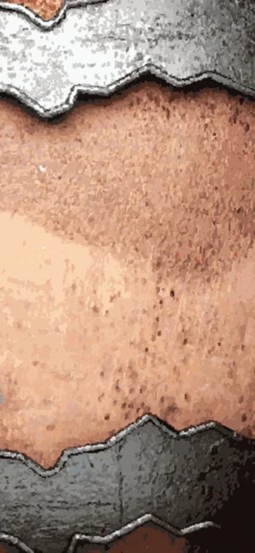 PeelitStickit Metal Wallpaper, Wall Mural ID-021, vinyl