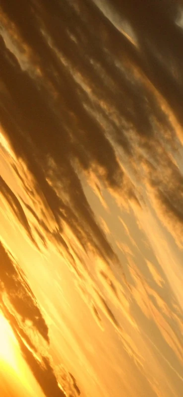 PeelitStickit Morning Sky, Wall Murals, ID-003, vinyl