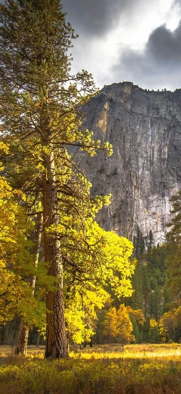 PeelitStickit Mountain, Wall Murals, ID-040, vinyl - Image 1
