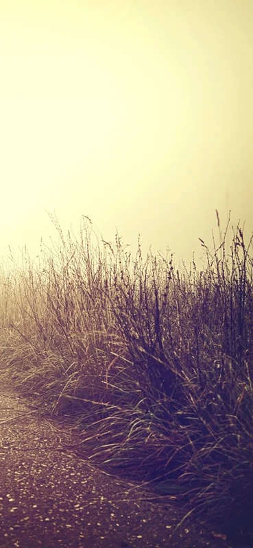 PeelitStickit Nature Wallpaper, Wall Mural ID-004, vinyl