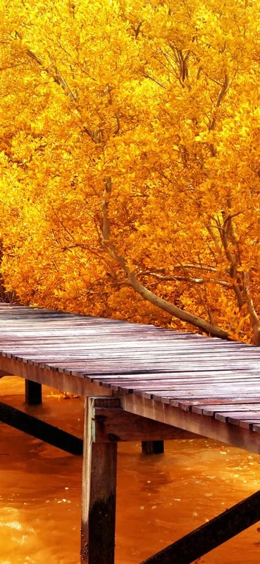 PeelitStickit Nature Wallpaper, Wall Mural ID-012, vinyl