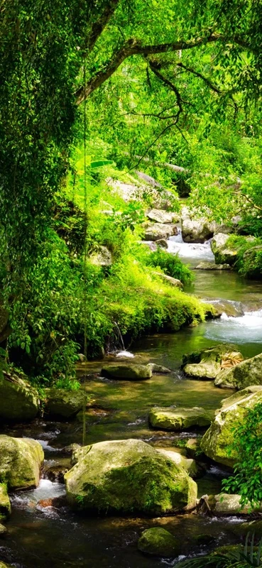 PeelitStickit Nature Wallpaper, Wall Mural ID-021, vinyl