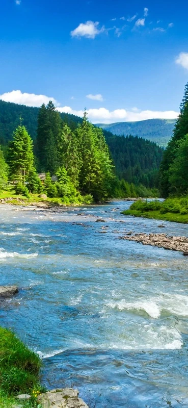 PeelitStickit Nature Wallpaper, Wall Mural ID-036, vinyl