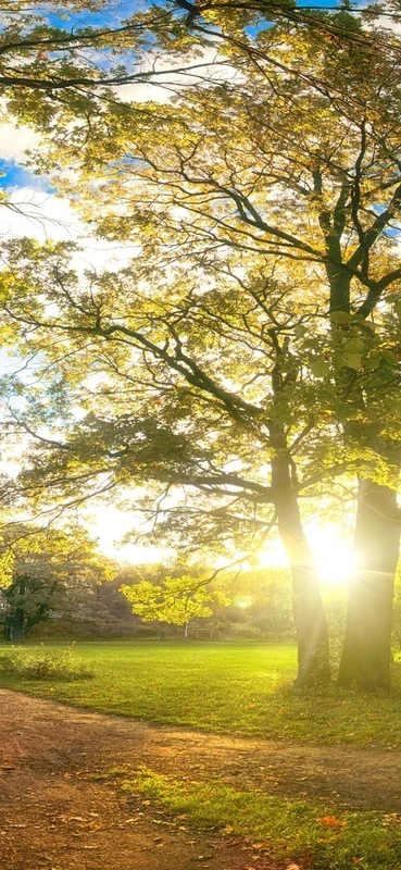 PeelitStickit Nature Wallpaper, Wall Mural ID-035, vinyl