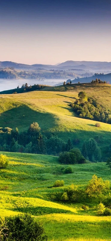 PeelitStickit Nature Wallpaper, Wall Mural ID-034, vinyl