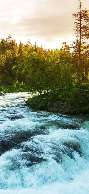 PeelitStickit Nature Wallpaper, Wall Mural ID-038, vinyl