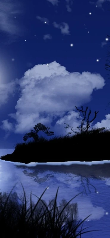 PeelitStickit Night Sky, Beautiful Nature Wall Murals, ID-3358, vinyl