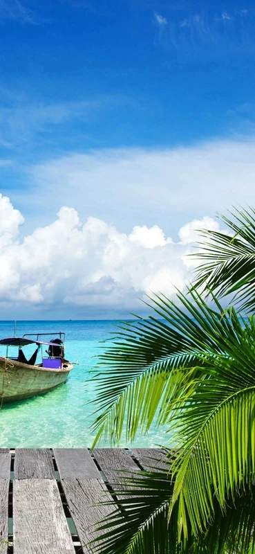 PeelitStickit, Paradise Vacations Wall Murals, ID-010, vinyl