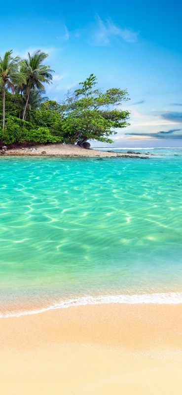 PeelitStickit, Paradise Vacations Wall Murals, ID-022, vinyl