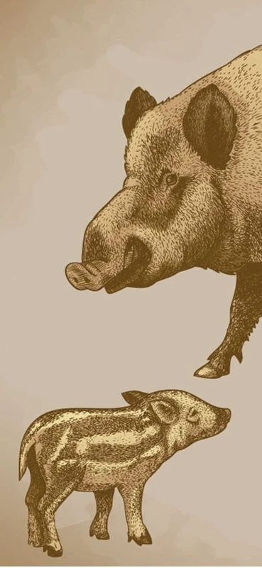 PeelitStickit Pig Animal Skin Wall Mural 027, vinyl