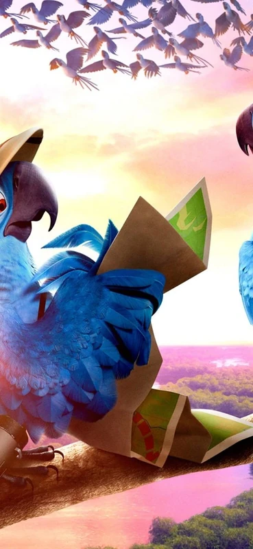 PeelitStickit Rio 2 Copy, vinyl