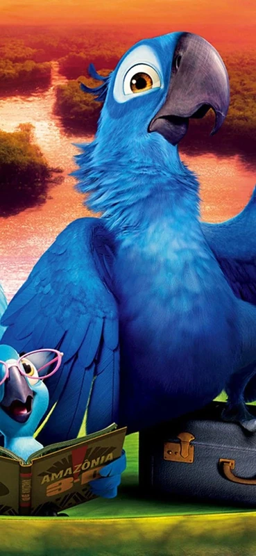 PeelitStickit Rio 2 Kids, vinyl