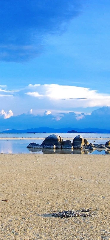 PeelitStickit Sea, Beautiful Nature Wall Murals, ID-3353, vinyl