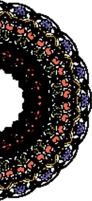 PeelitStickit Traditional Pattern Roll, World Wallpaper, Wall Mural ID-020, vinyl