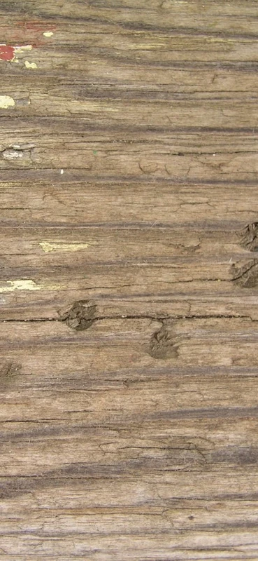 PeelitStickit Wood Pattern, Wallpaper, Wall Mural ID-104, vinyl