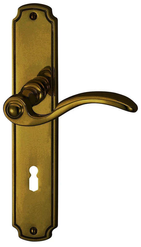 ALPERTEC Rebeca LS Burnished Brass Door Handle Set Door Fittings Door Handle – for Internal Doors – 32410023