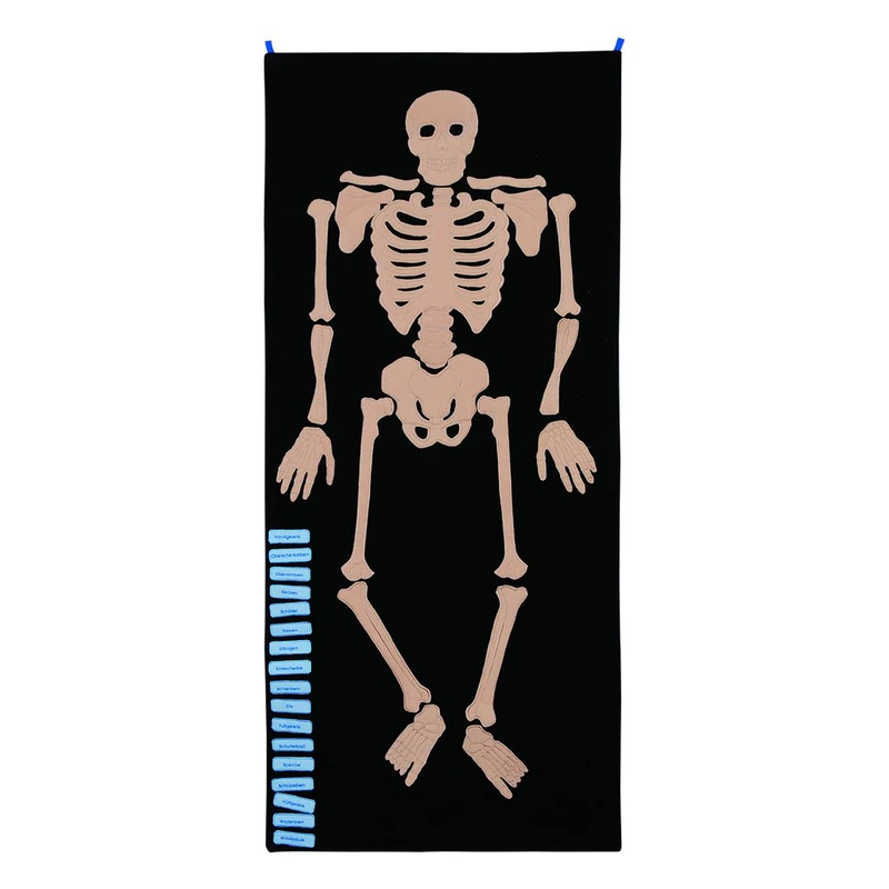 Forchtenberger Velcro Skeleton Playset